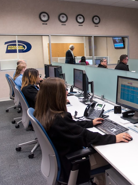 full-width-section-img-dynamark-2